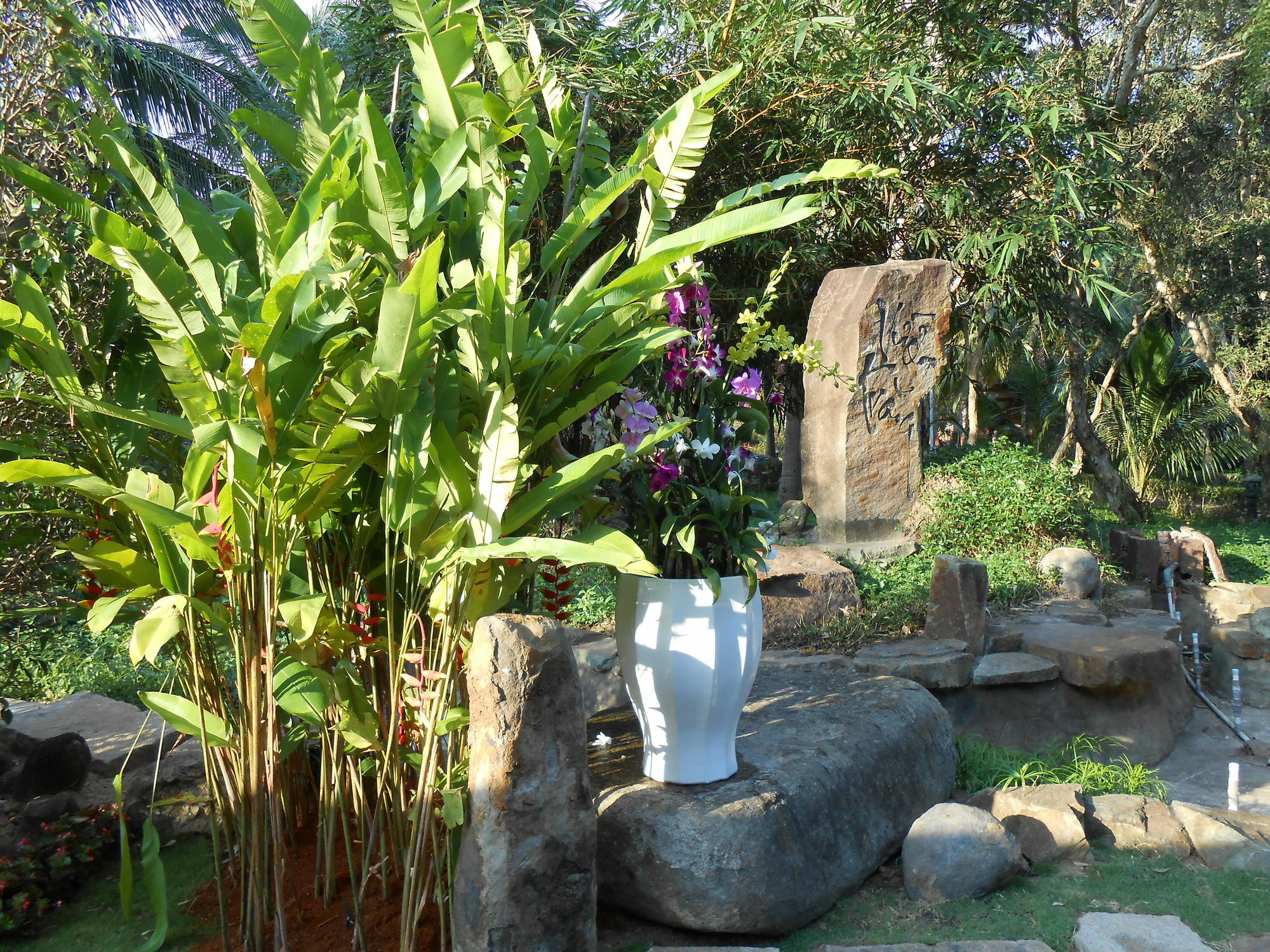 Minera Hot Springs Binh Chau Hotel Eksteriør billede