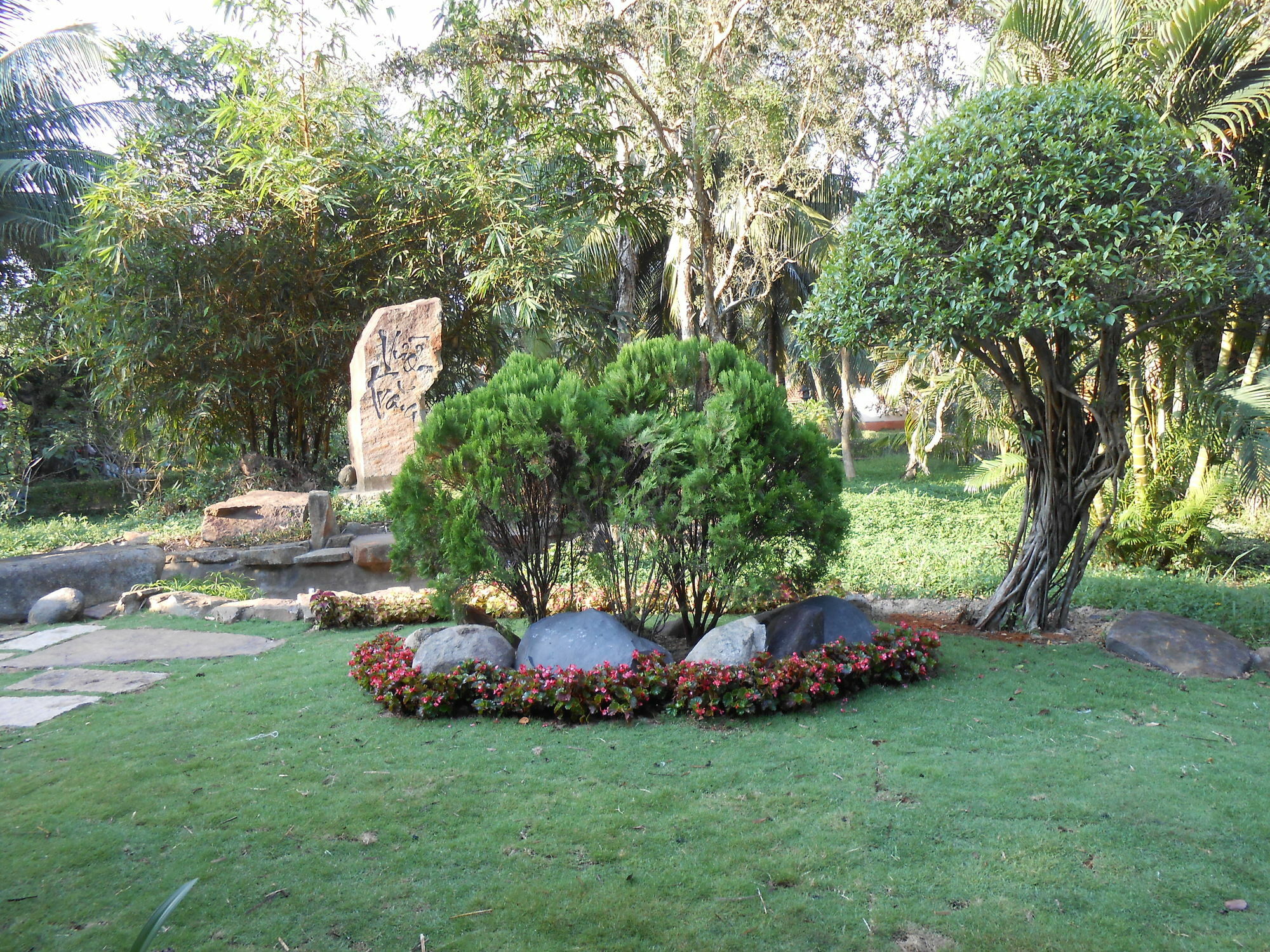 Minera Hot Springs Binh Chau Hotel Eksteriør billede